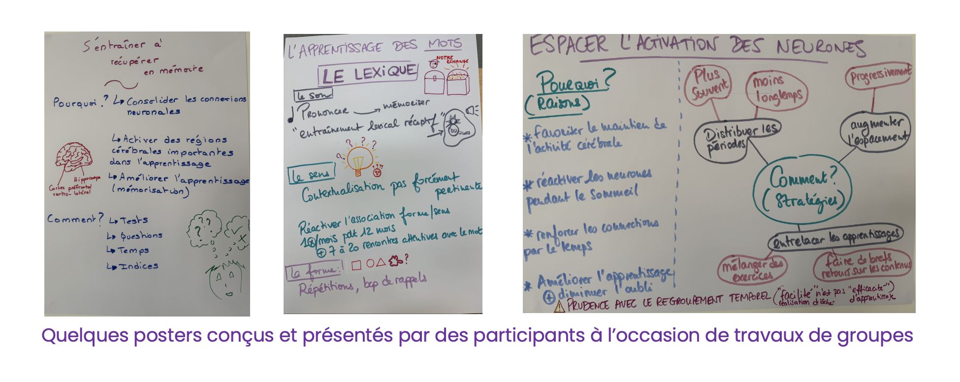 Atelier Sciences cognitives